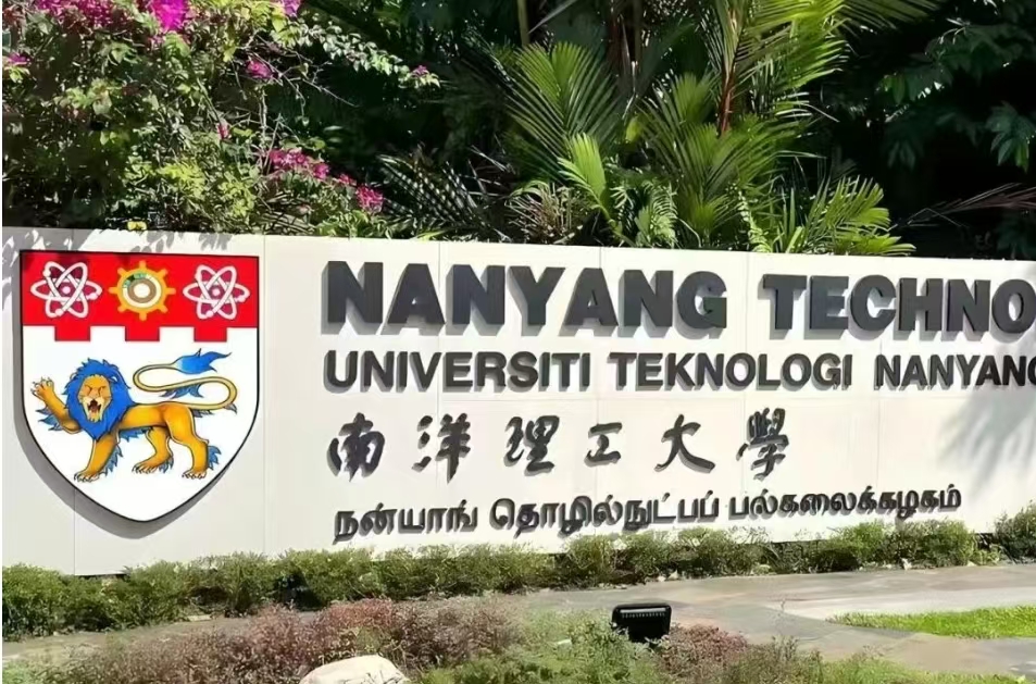 新加坡学子留学记｜世界，比我想象的要大