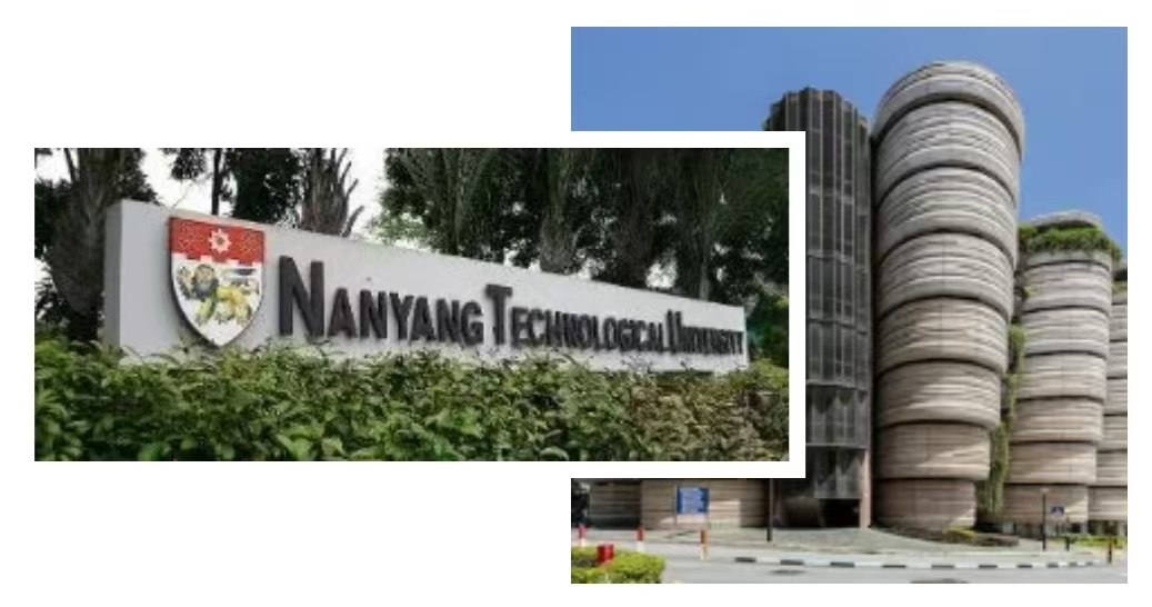 新加坡学子留学记｜我的新加坡“破圈”史