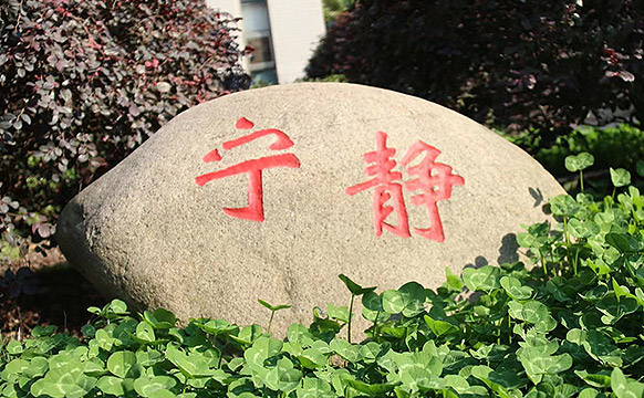 省前中SACE国际课程